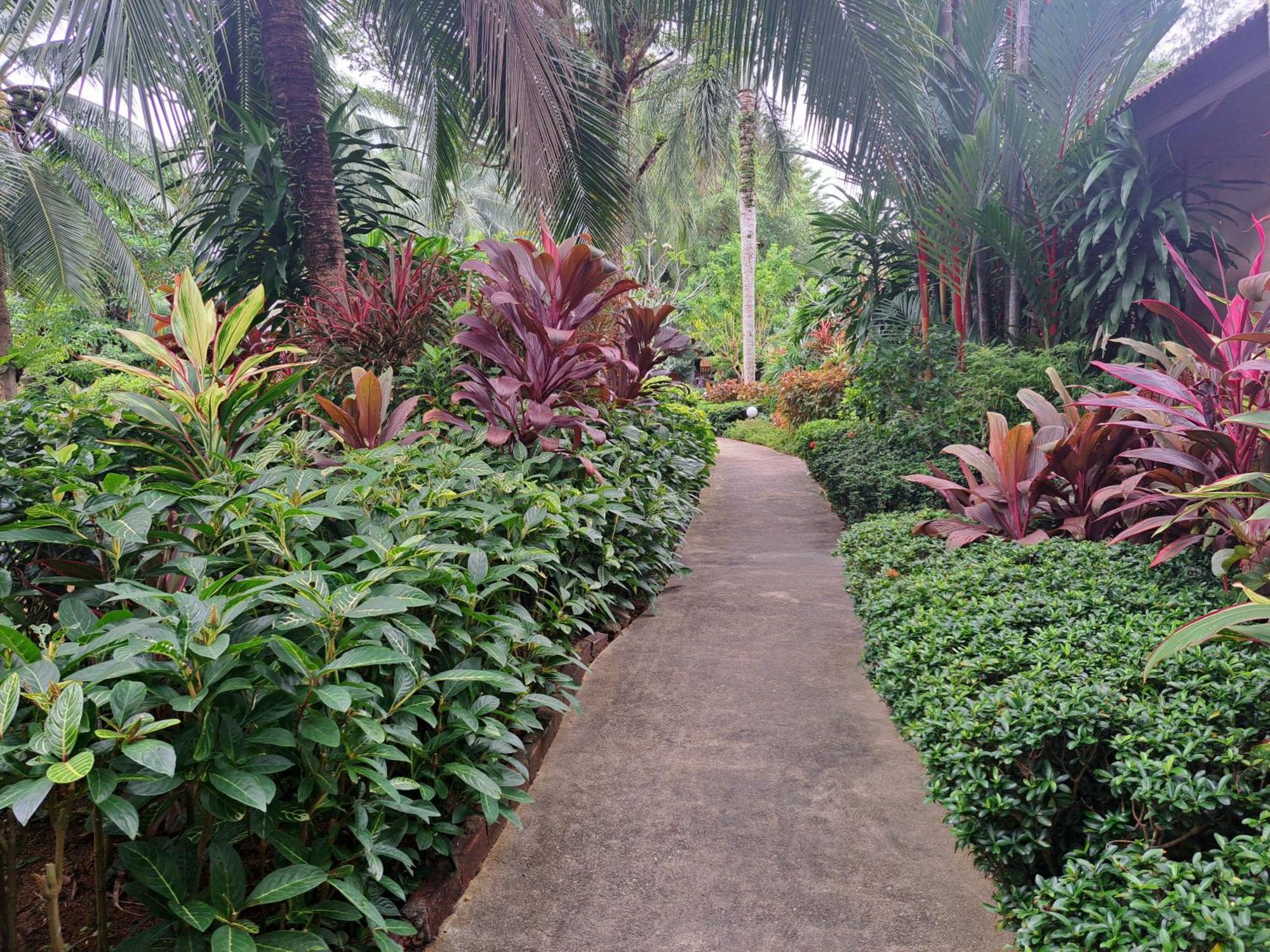 Jasmin Resort - Sha Plus Khao Lak Buitenkant foto