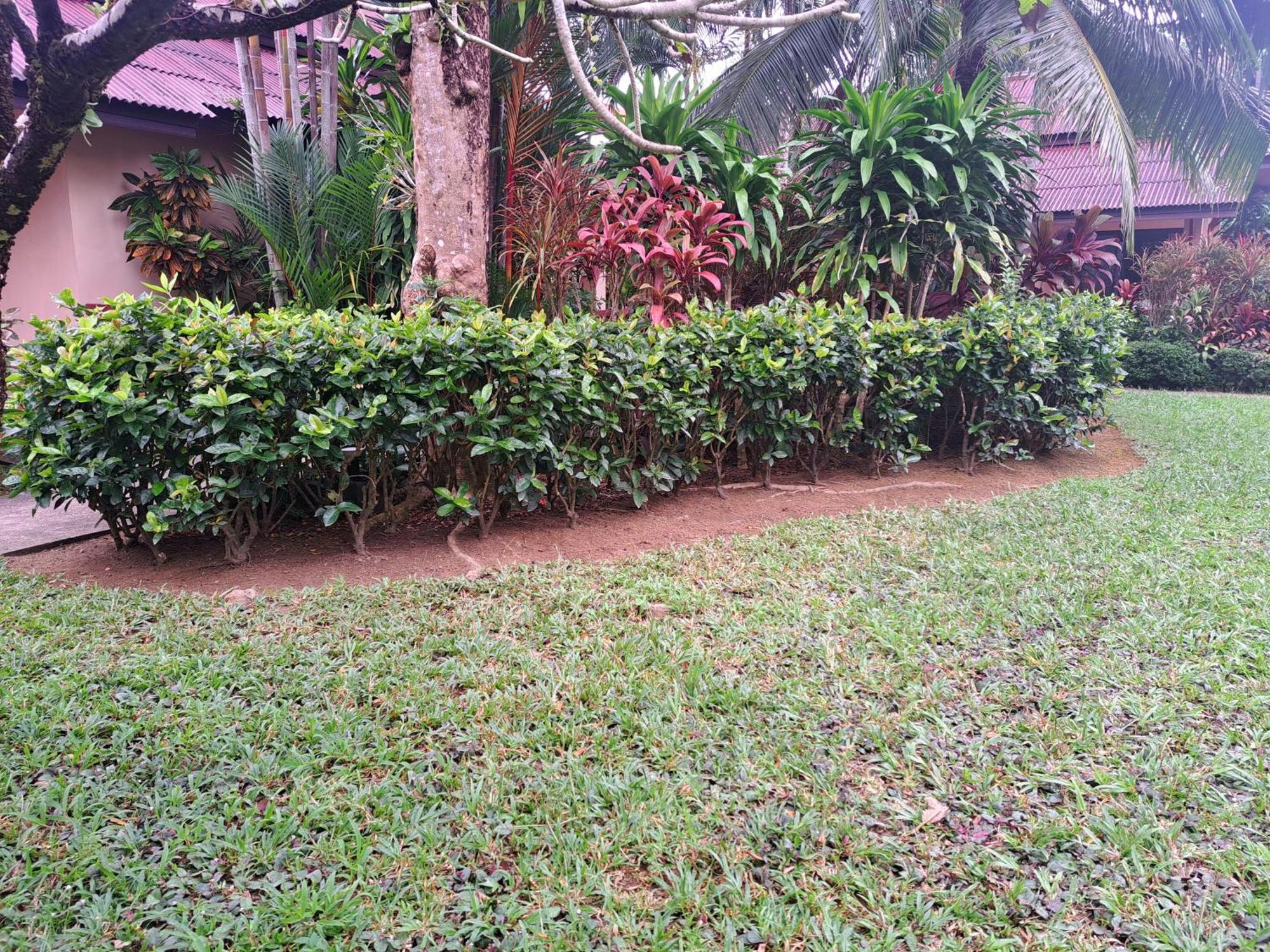 Jasmin Resort - Sha Plus Khao Lak Buitenkant foto