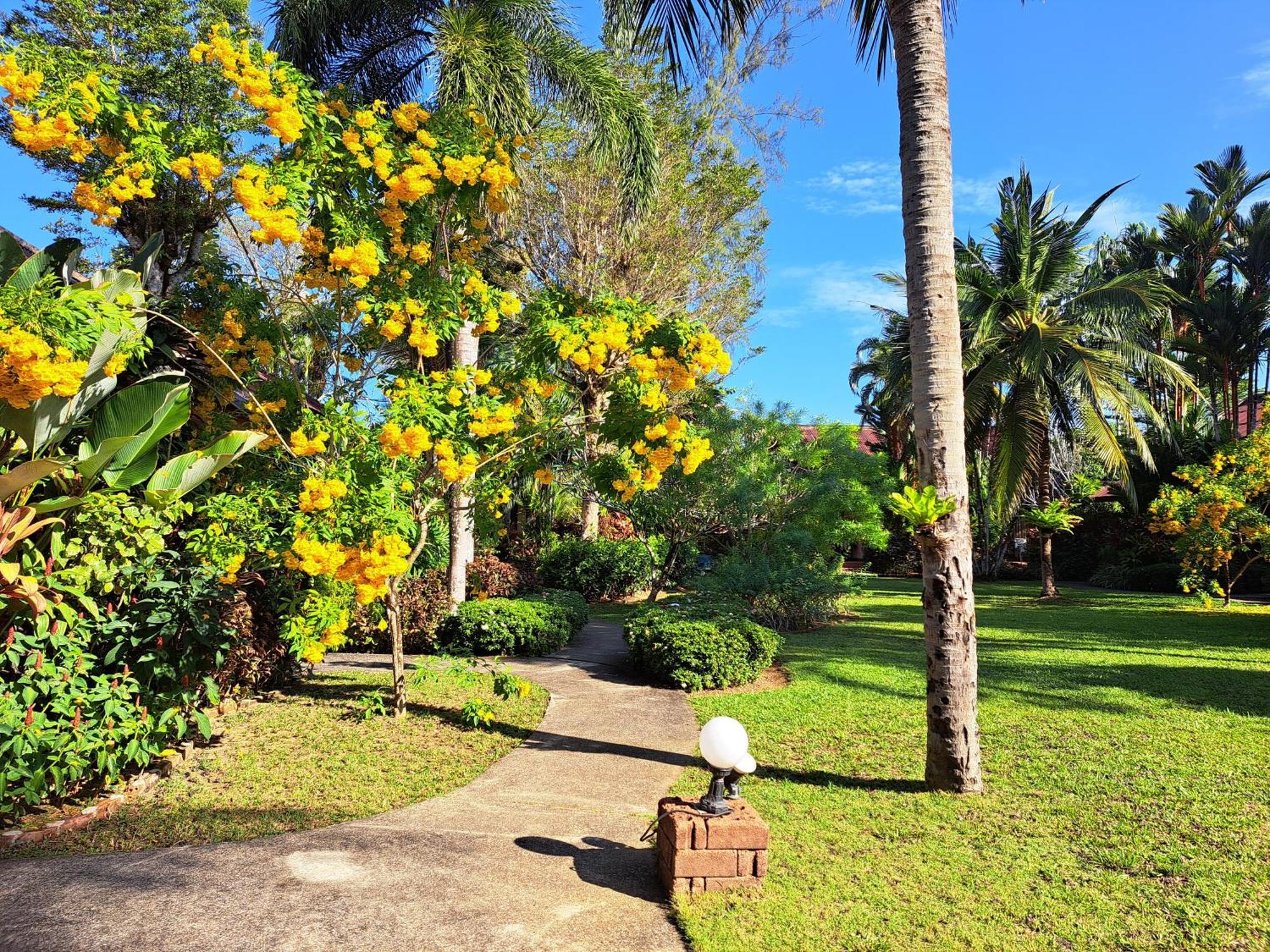 Jasmin Resort - Sha Plus Khao Lak Buitenkant foto